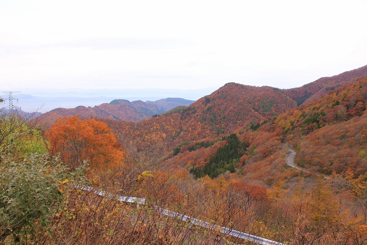 【紅葉の笹谷古道トレッキングツアー】秋の里山トレッキングで地域の魅力を再発見！ガイド同行で紅葉の笹谷古道を歩く！！